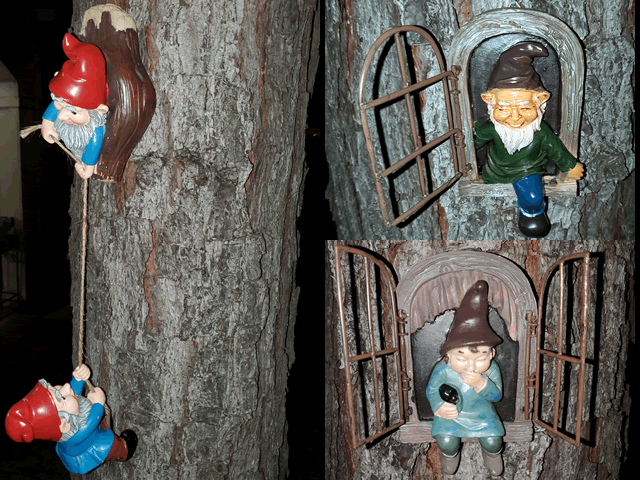 My Tree Gnomes